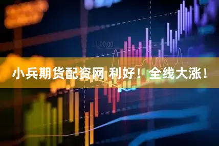 小兵期货配资网 利好！全线大涨！