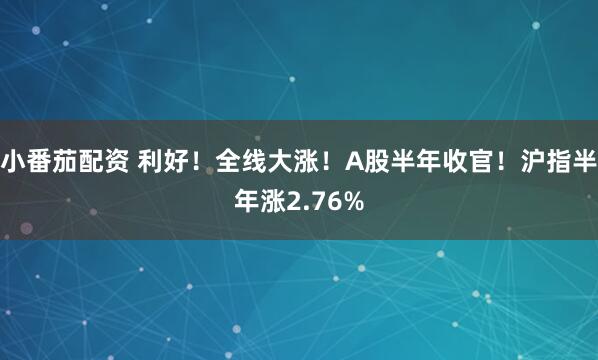 小番茄配资 利好！全线大涨！A股半年收官！沪指半年涨2.76%
