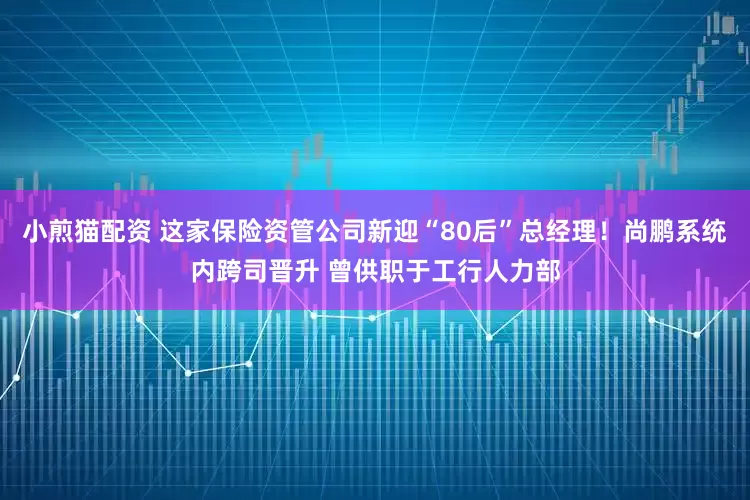 小煎猫配资 这家保险资管公司新迎“80后”总经理！尚鹏系统内跨司晋升 曾供职于工行人力部