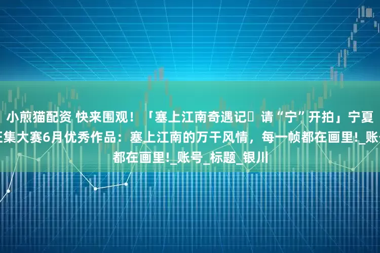 小煎猫配资 快来围观！「塞上江南奇遇记・请“宁”开拍」宁夏文旅短视频征集大赛6月优秀作品：塞上江南的万干风情，每一帧都在画里!_账号_标题_银川