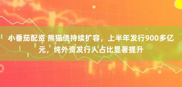 小番茄配资 熊猫债持续扩容，上半年发行900多亿元，纯外资发行人占比显著提升
