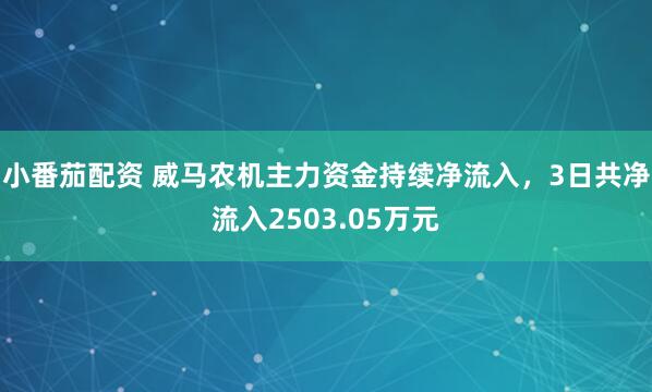 小番茄配资 威马农机主力资金持续净流入，3日共净流入2503.05万元