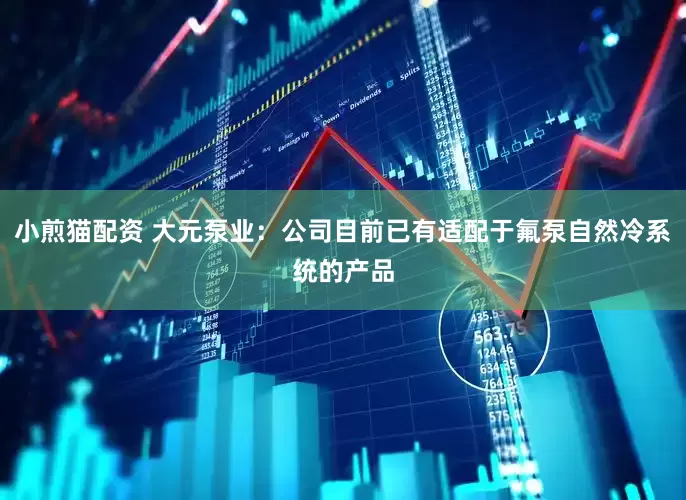小煎猫配资 大元泵业：公司目前已有适配于氟泵自然冷系统的产品