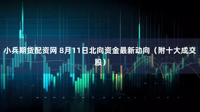 小兵期货配资网 8月11日北向资金最新动向（附十大成交股）