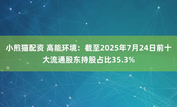 小煎猫配资 高能环境：截至2025年7月24日前十大流通股东持股占比35.3%