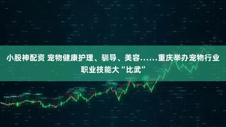 小股神配资 宠物健康护理、驯导、美容……重庆举办宠物行业职业技能大“比武”