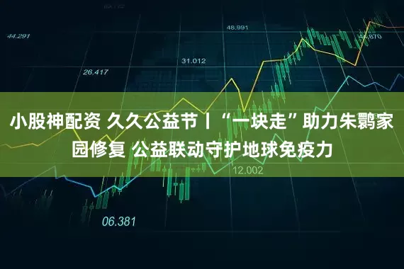 小股神配资 久久公益节丨“一块走”助力朱鹮家园修复 公益联动守护地球免疫力