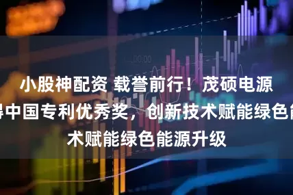 小股神配资 载誉前行！茂硕电源专利摘得中国专利优秀奖，创新技术赋能绿色能源升级