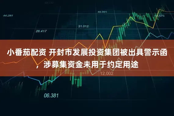 小番茄配资 开封市发展投资集团被出具警示函，涉募集资金未用于约定用途